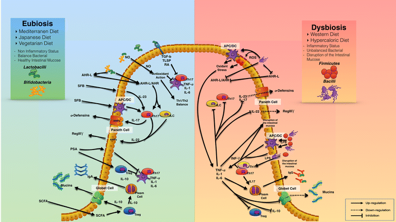How nutrition D facilitates fight treatment-resistant most cancers