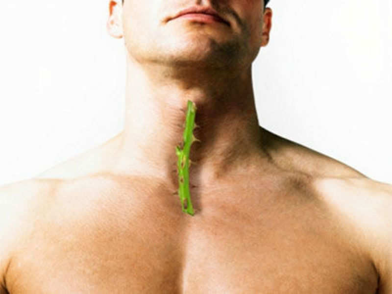 Tese five easy domestic treatments will help you eliminate it wonderful rapid!