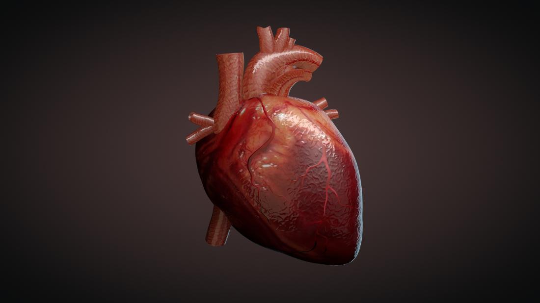Study famous new genetic hyperlink to heart disease