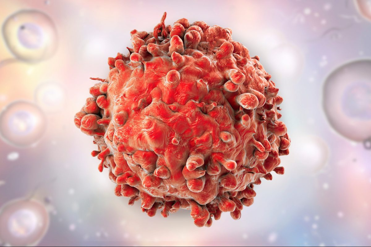 ‘Living drug’ gives wish to terminal blood cancer patients