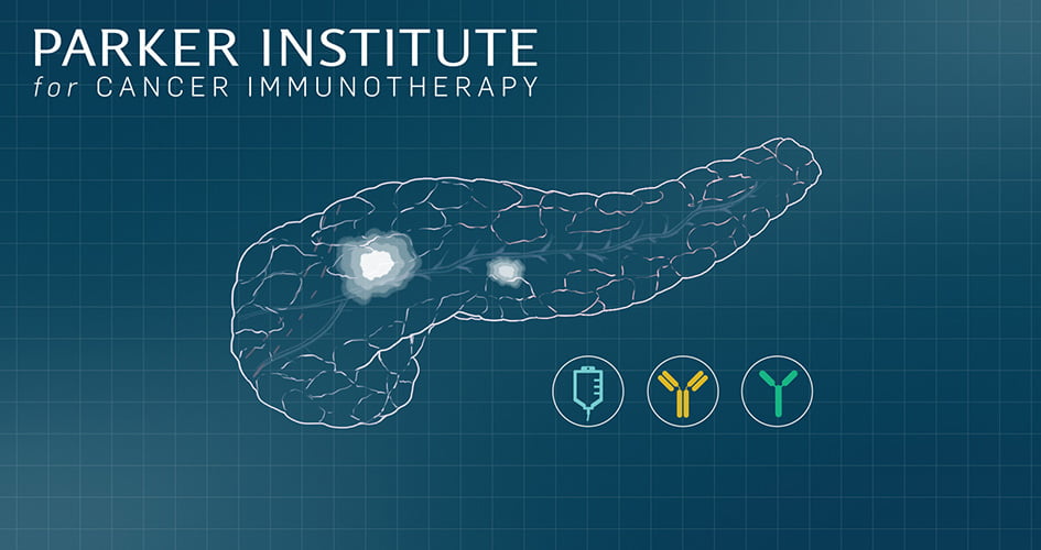 Clinical trial indicates promise for brand new blood most cancers remedy