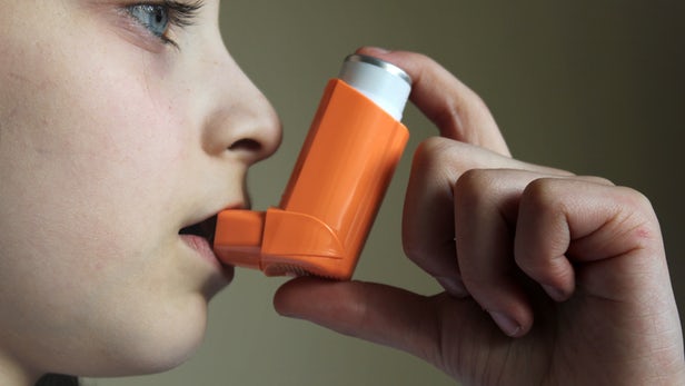Detailed lung cell map uncovers new pieces of the allergies puzzle