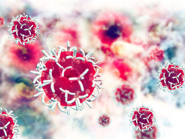 Could intestine bacteria power the spread of breast most cancers? 1