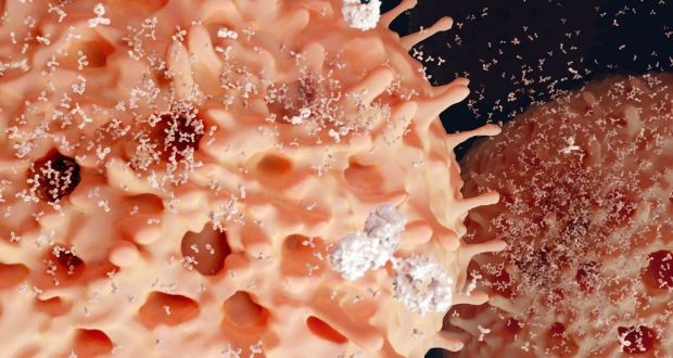 ‘Very promising’ findings in new treatment for blood cancer