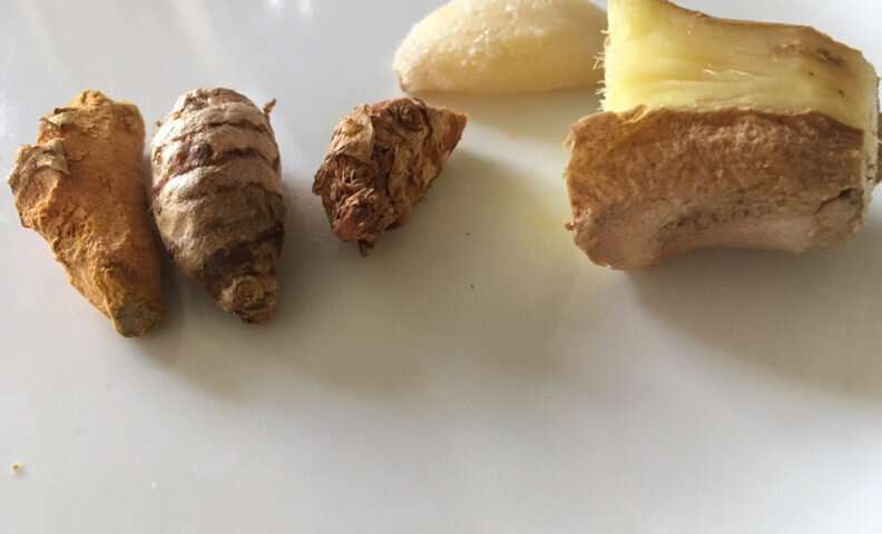 Timed release of turmeric stops most cancers mobile increase