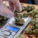 5 Brilliant and Legal Ways of Starting a Cannabis Dispensary